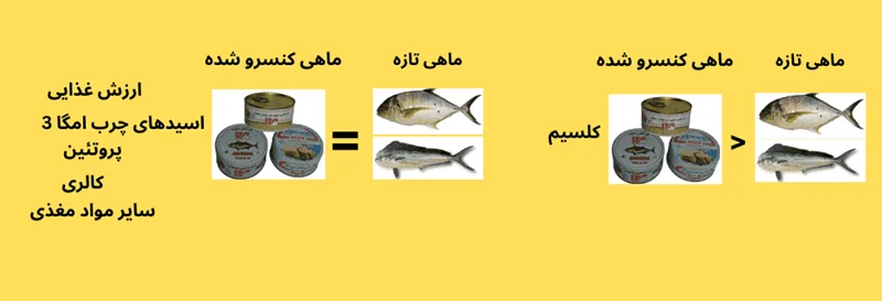 23. آیا کنسرو ماهی مانند ماهی تازه ارزش غذایی دارد؟