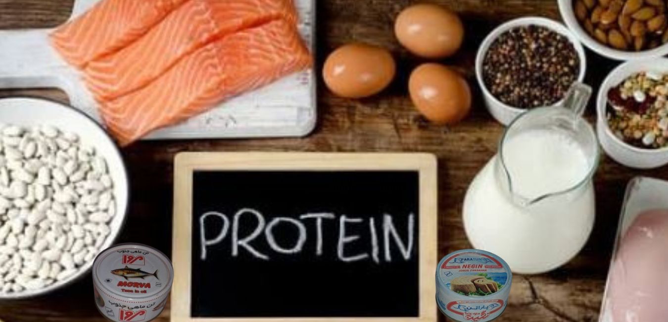 قسمت دوم: خواص ماهی ها