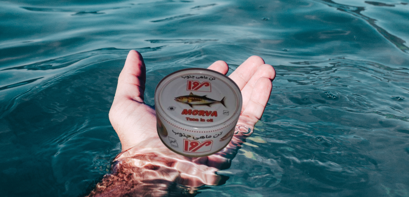 قسمت اول: تن ماهی یا کنسرو ماهی یا کنسرو ماهی تن